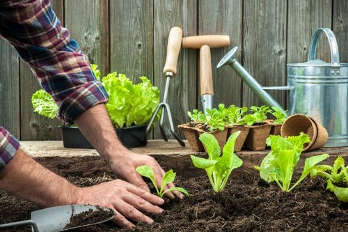 Overview image of professional gardeners working in a Bounds Green garden
