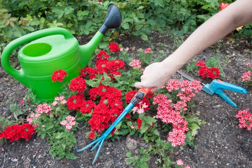 Garden maintenance tools and protective equipment