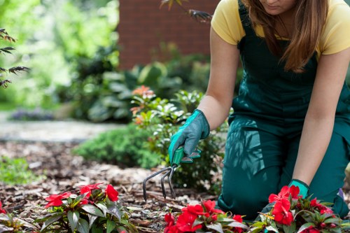 Inspection of equipment before gardening work