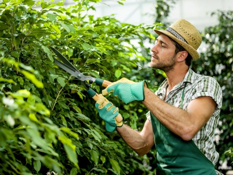 Garden clearance planning with professional tools