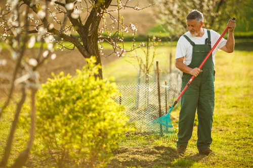 Safe tree removal process